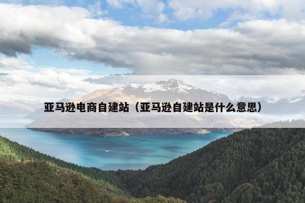 亚马逊电商自建站（亚马逊自建站是什么意思）