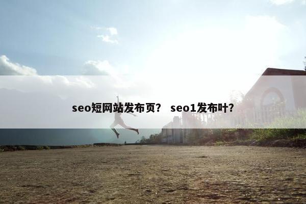 seo短网站发布页？ seo1发布叶？