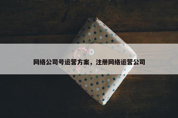 网络公司号运营方案，注册网络运营公司