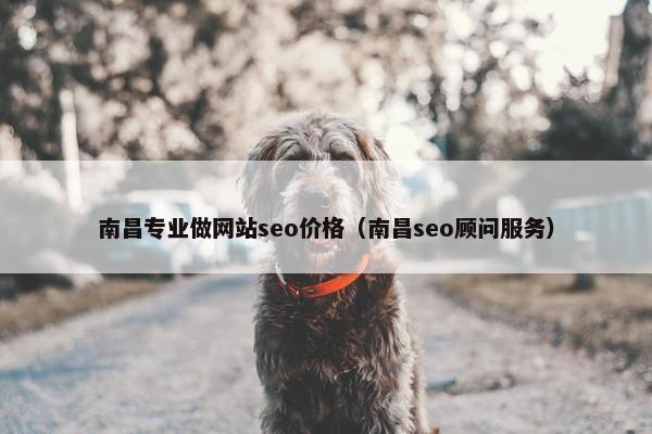 南昌专业做网站seo价格（南昌seo顾问服务）