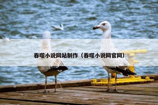 吞噬小说网站制作（吞噬小说网官网）