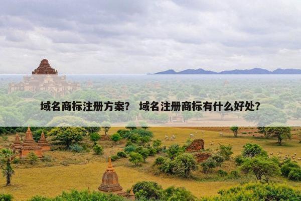 域名商标注册方案？ 域名注册商标有什么好处？