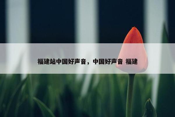 福建站中国好声音，中国好声音 福建