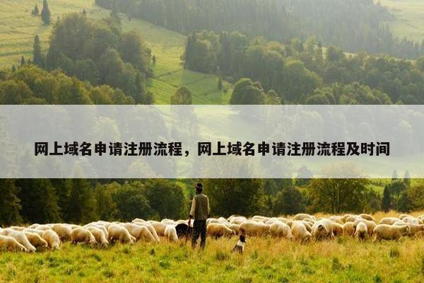 网上域名申请注册流程，网上域名申请注册流程及时间