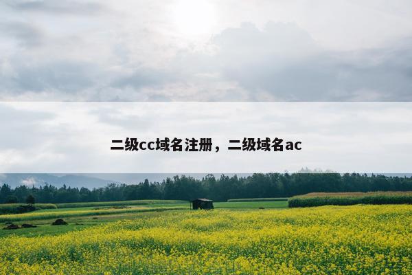 二级cc域名注册，二级域名ac