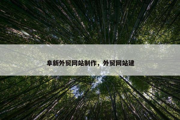 阜新外贸网站制作，外贸网站建