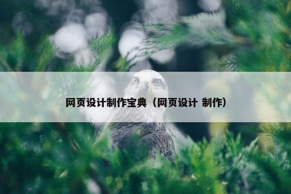 网页设计制作宝典（网页设计 制作）