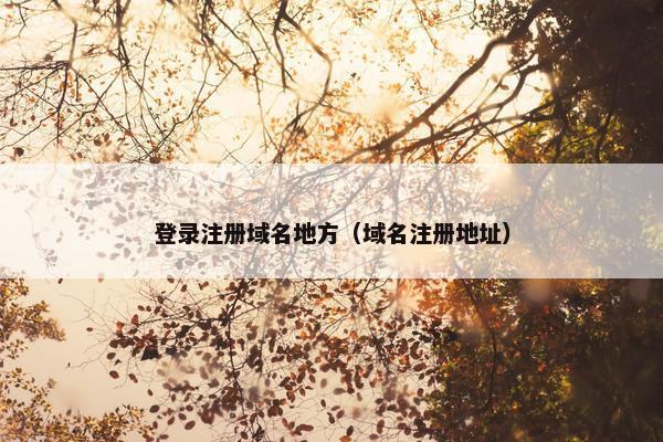 登录注册域名地方（域名注册地址）