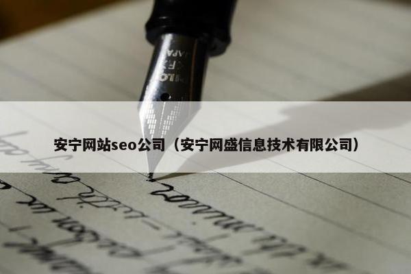 安宁网站seo公司（安宁网盛信息技术有限公司）