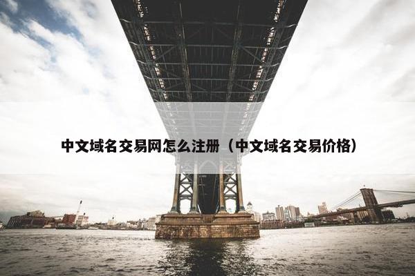 中文域名交易网怎么注册（中文域名交易价格）