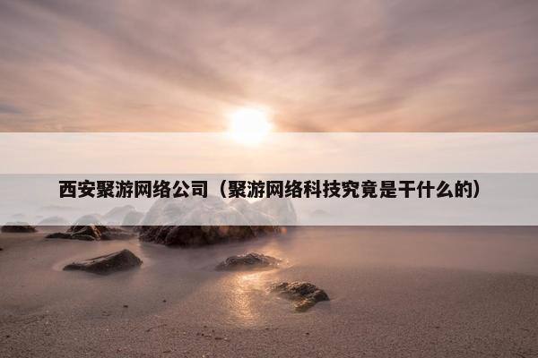 西安聚游网络公司（聚游网络科技究竟是干什么的）