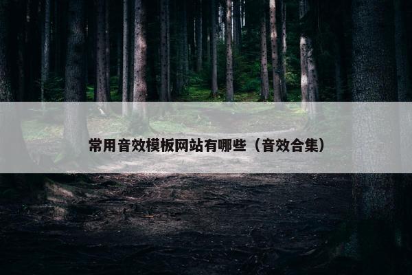 常用音效模板网站有哪些（音效合集）