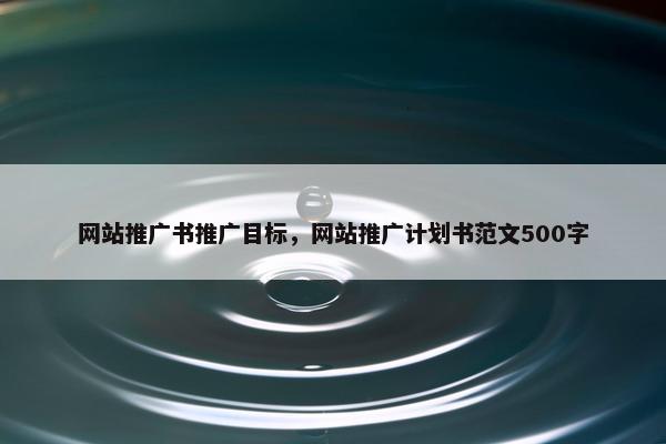 网站推广书推广目标，网站推广计划书范文500字