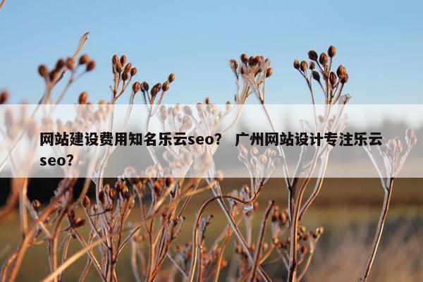 网站建设费用知名乐云seo？ 广州网站设计专注乐云seo？