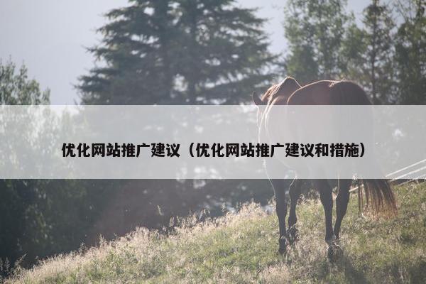 优化网站推广建议（优化网站推广建议和措施）