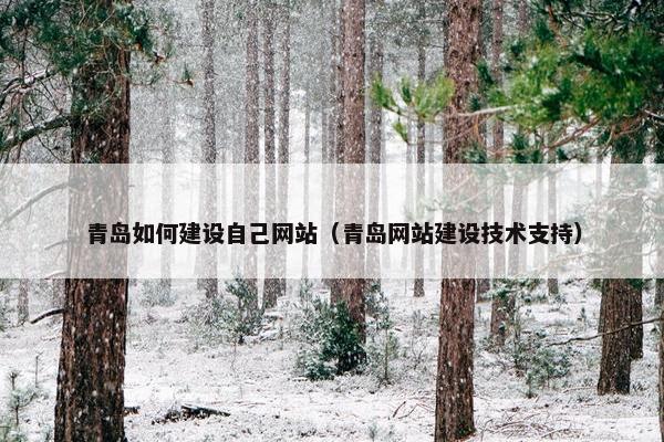 青岛如何建设自己网站（青岛网站建设技术支持）