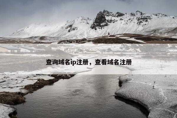 查询域名ip注册，查看域名注册