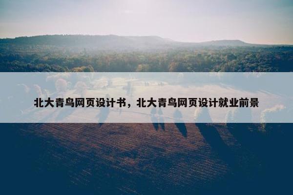 北大青鸟网页设计书，北大青鸟网页设计就业前景