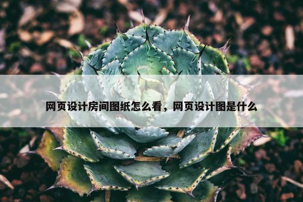 网页设计房间图纸怎么看，网页设计图是什么