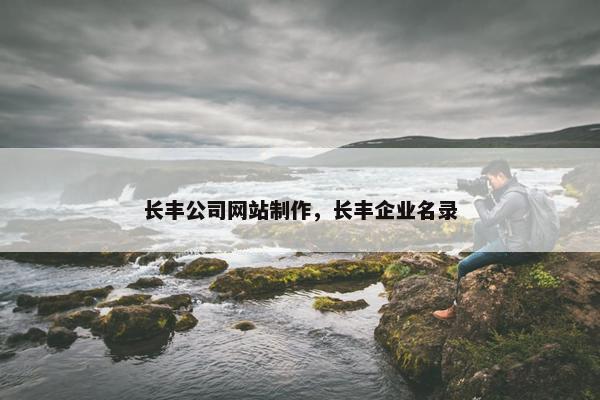 长丰公司网站制作，长丰企业名录