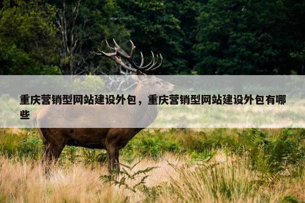 重庆营销型网站建设外包，重庆营销型网站建设外包有哪些