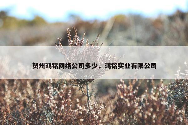 贺州鸿铭网络公司多少，鸿铭实业有限公司