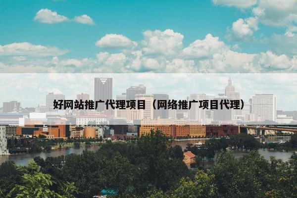 好网站推广代理项目（网络推广项目代理）