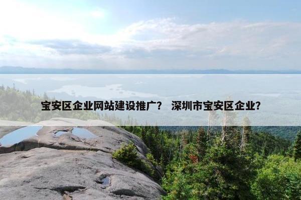 宝安区企业网站建设推广？ 深圳市宝安区企业？