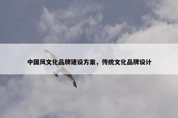 中国风文化品牌建设方案，传统文化品牌设计