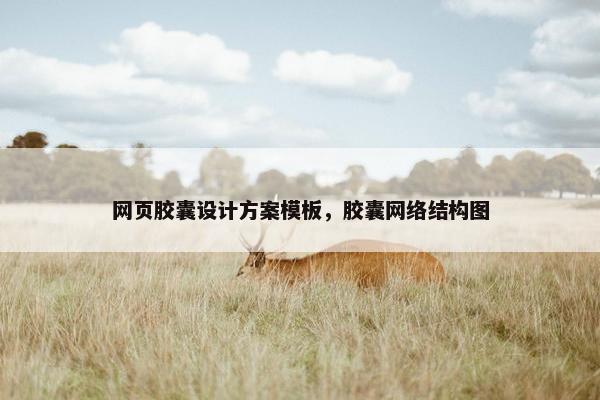网页胶囊设计方案模板，胶囊网络结构图