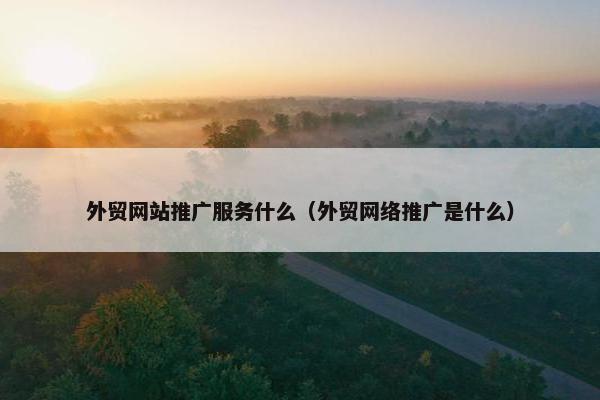 外贸网站推广服务什么（外贸网络推广是什么）