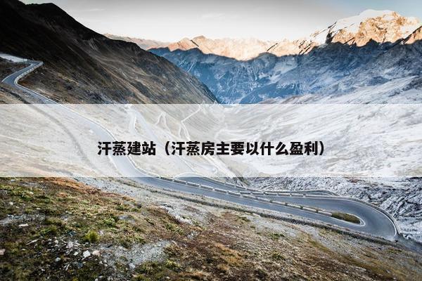 汗蒸建站（汗蒸房主要以什么盈利）