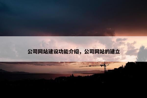 公司网站建设功能介绍，公司网站的建立