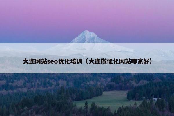 大连网站seo优化培训（大连做优化网站哪家好）