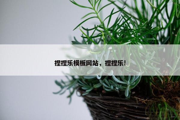 捏捏乐模板网站，捏捏乐!
