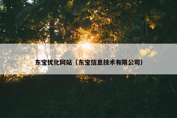 东宝优化网站（东宝信息技术有限公司）