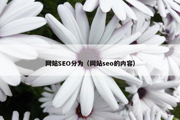 网站SEO分为（网站seo的内容）