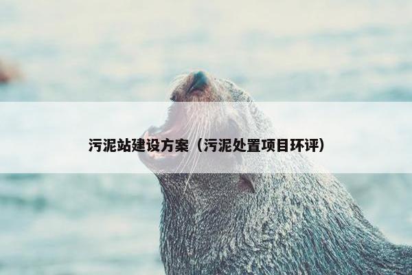 污泥站建设方案（污泥处置项目环评）