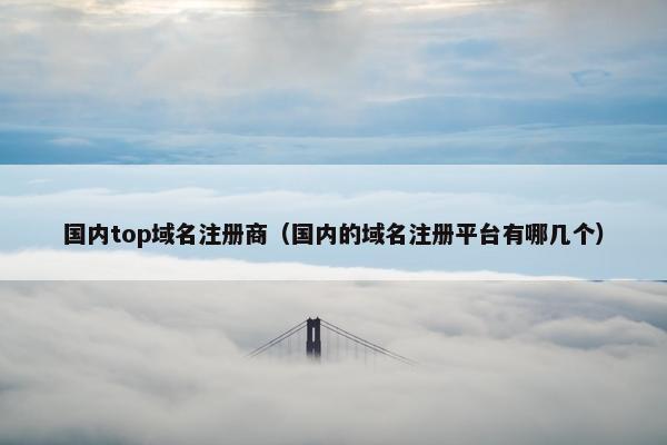 国内top域名注册商（国内的域名注册平台有哪几个）