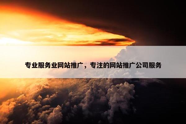 专业服务业网站推广，专注的网站推广公司服务
