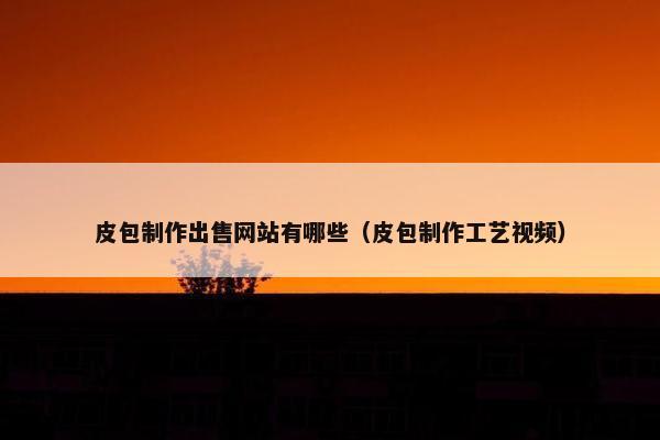 皮包制作出售网站有哪些（皮包制作工艺视频）