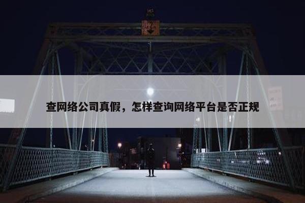查网络公司真假，怎样查询网络平台是否正规