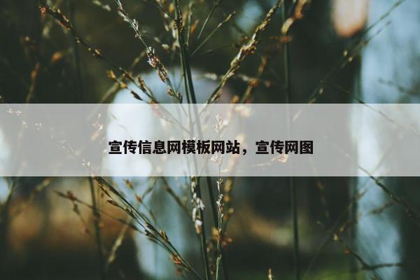 宣传信息网模板网站，宣传网图