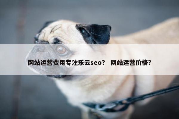 网站运营费用专注乐云seo？ 网站运营价格？