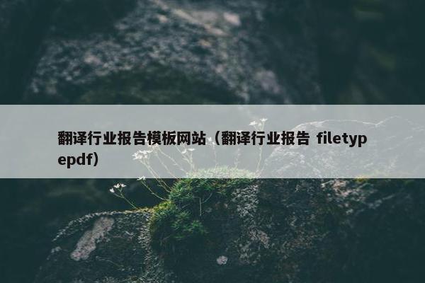 翻译行业报告模板网站（翻译行业报告 filetypepdf）