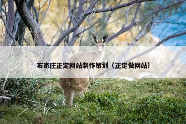 石家庄正定网站制作策划（正定做网站）