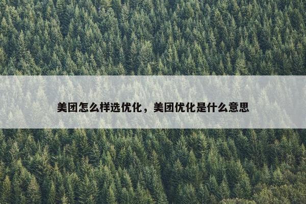 美团怎么样选优化，美团优化是什么意思