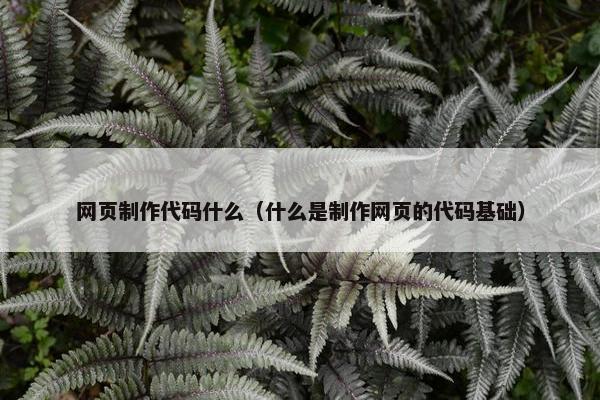 网页制作代码什么（什么是制作网页的代码基础）