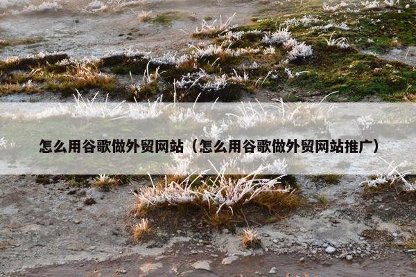怎么用谷歌做外贸网站（怎么用谷歌做外贸网站推广）