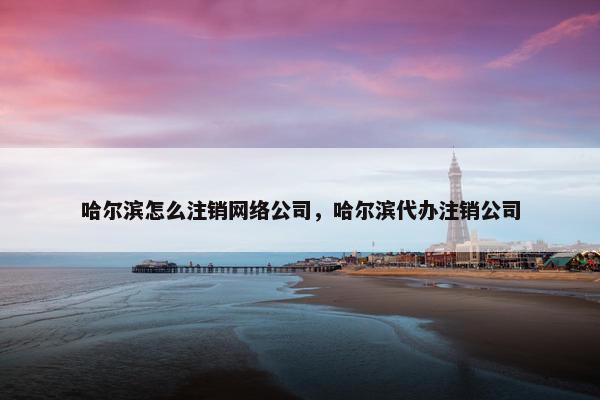 哈尔滨怎么注销网络公司，哈尔滨代办注销公司